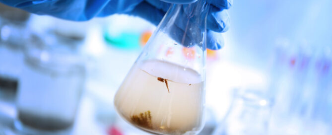 water filter
