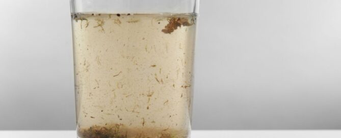 water contaminants